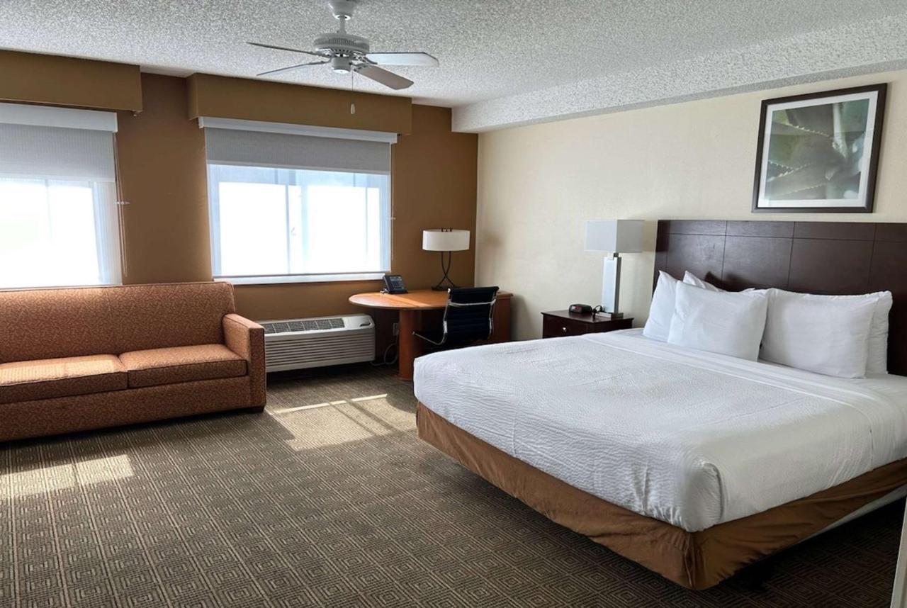La Quinta By Wyndham Orlando South Hotel Williamsburg Exterior photo